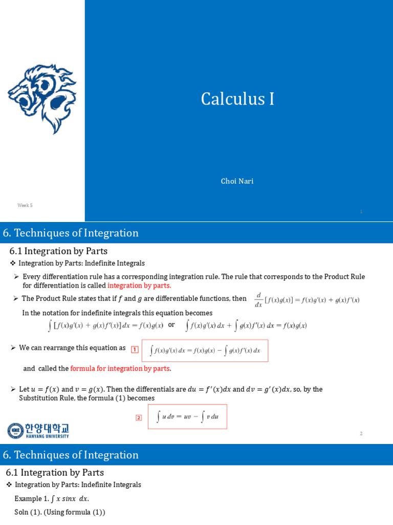 Integration Techniques in Calculus I | PDF | Trigonometric Functions ...