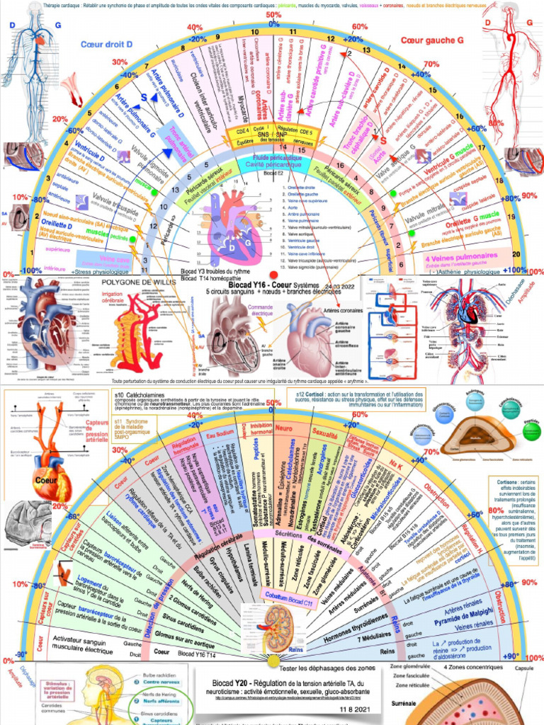 Pendulum Charts A | PDF