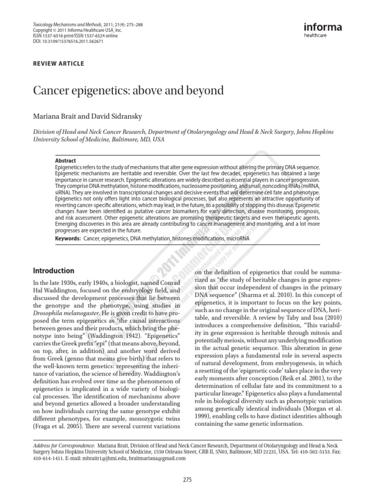 Understanding Cancer Epigenetics | PDF | Dna Methylation | Epigenetics