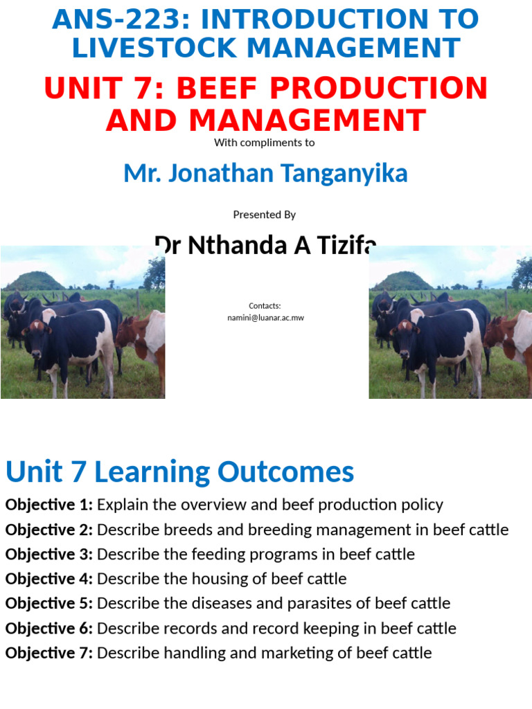 Beef Production and Management Guide | PDF