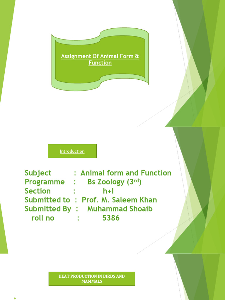 M. Shoaib 5386 | PDF | Thermoregulation | Skeletal Muscle