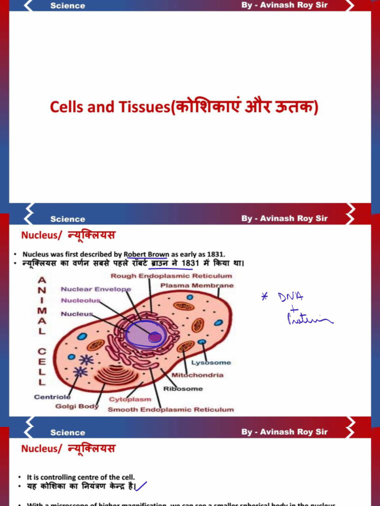 Bio Cells and Tissues Class Notes | PDF