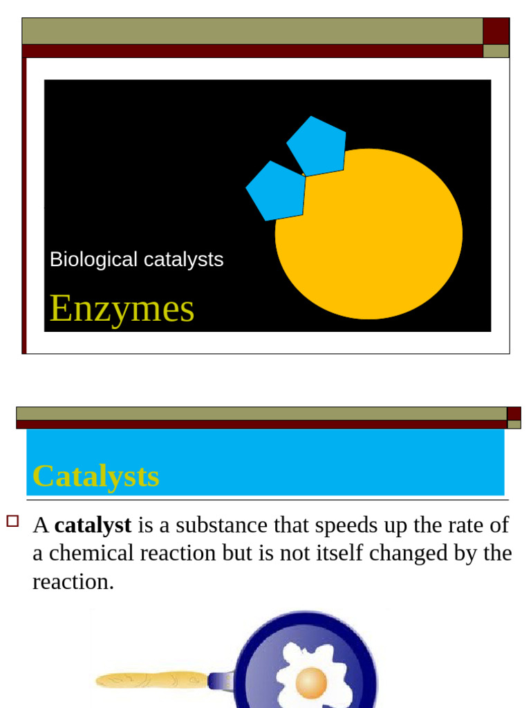 ENZYMES | PDF | Enzyme | Enzyme Inhibitor