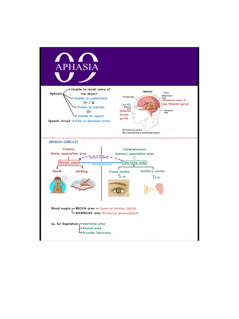 Aphasia Revision Guide: Key Concepts | PDF
