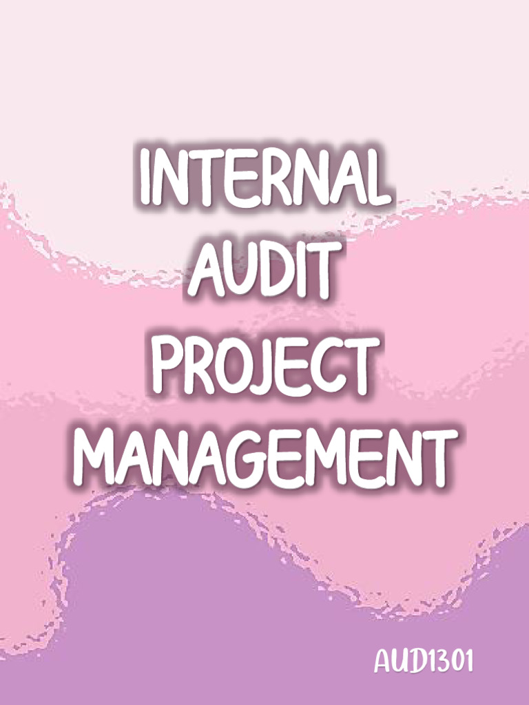 AUD1301 IA Project Management Notes 1 2 | PDF