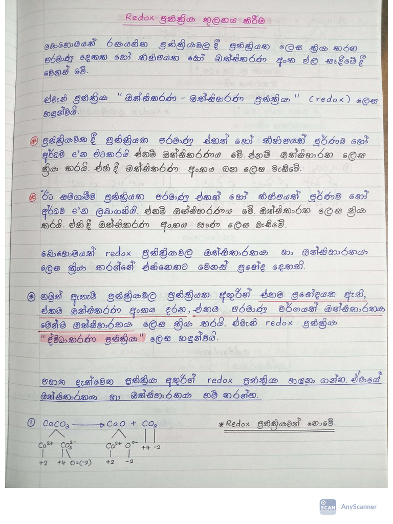 Redox Note | PDF