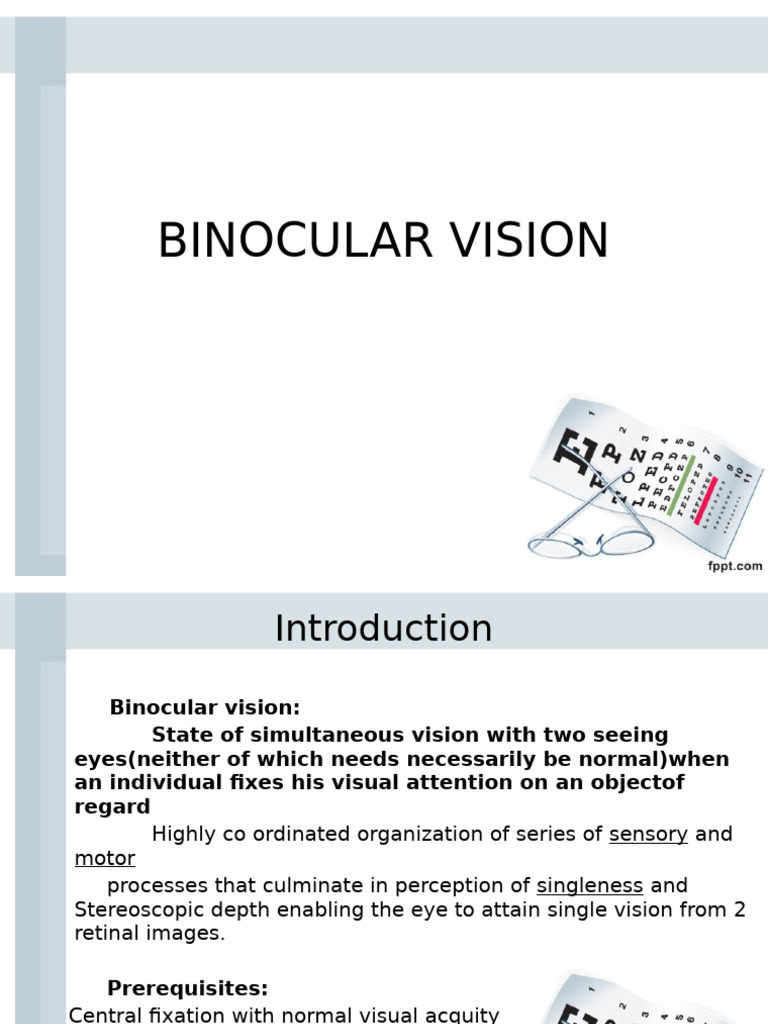 Binocular Vision | PDF | Visual Perception | Neuropsychological Assessment