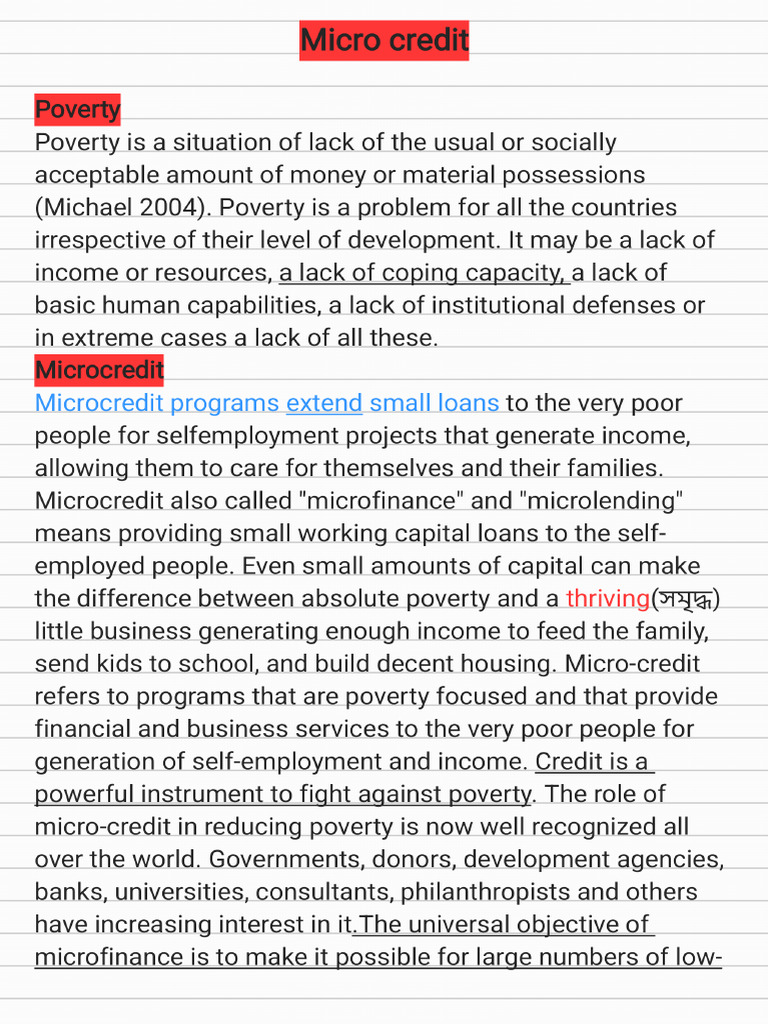 Micro credit_250708_080139 | PDF