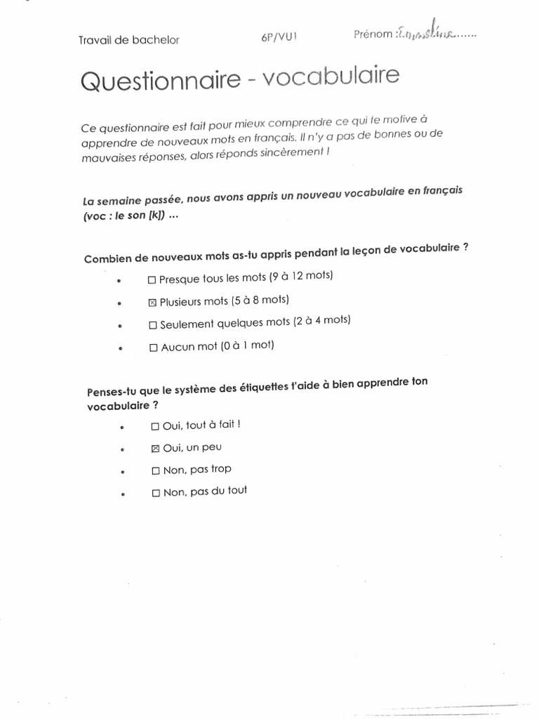 Questionnaire Vocabulaire | PDF