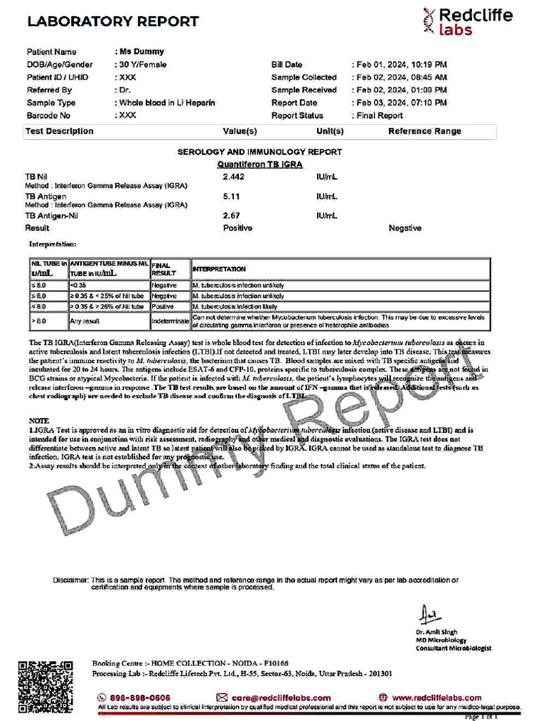 Dummy Report | PDF
