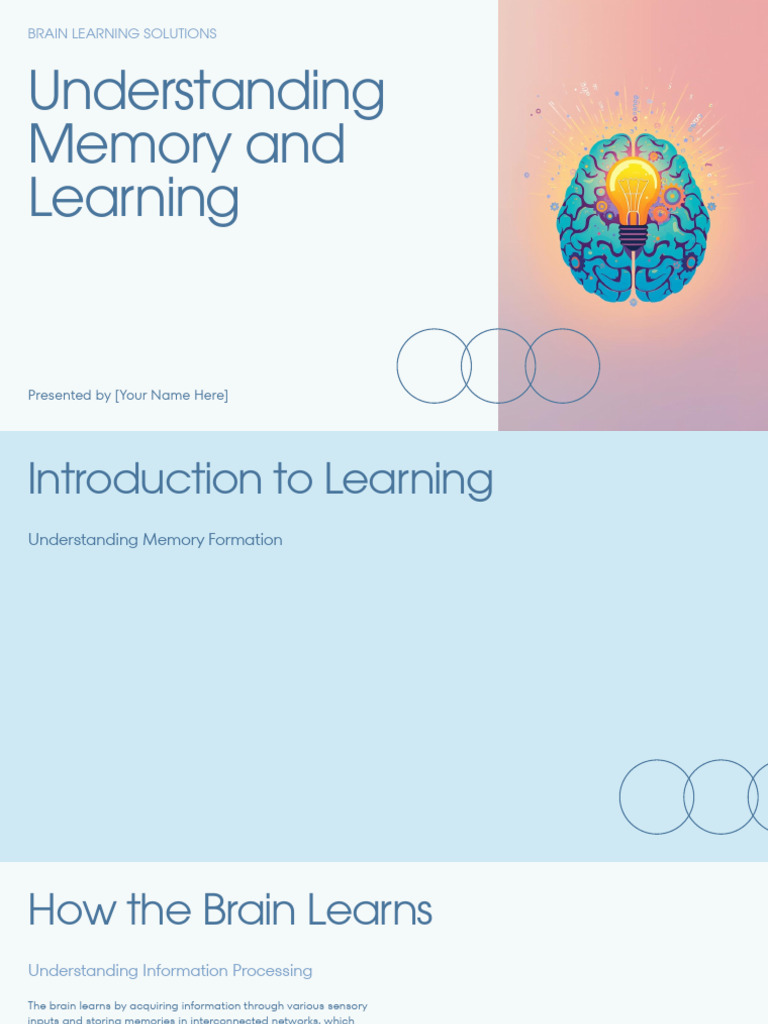 Memory and Learning Strategies Explained | PDF | Memory | Long Term Memory