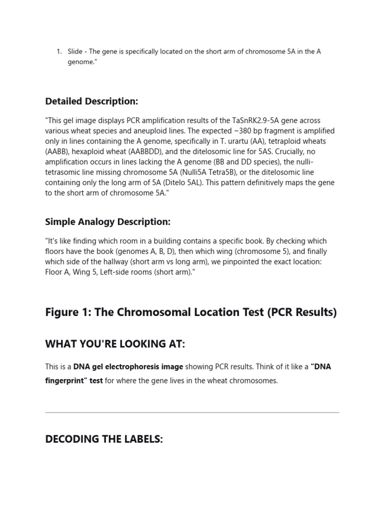 TaSnRK2.9-5A Gene Mapping in Wheat | PDF | Single Nucleotide ...