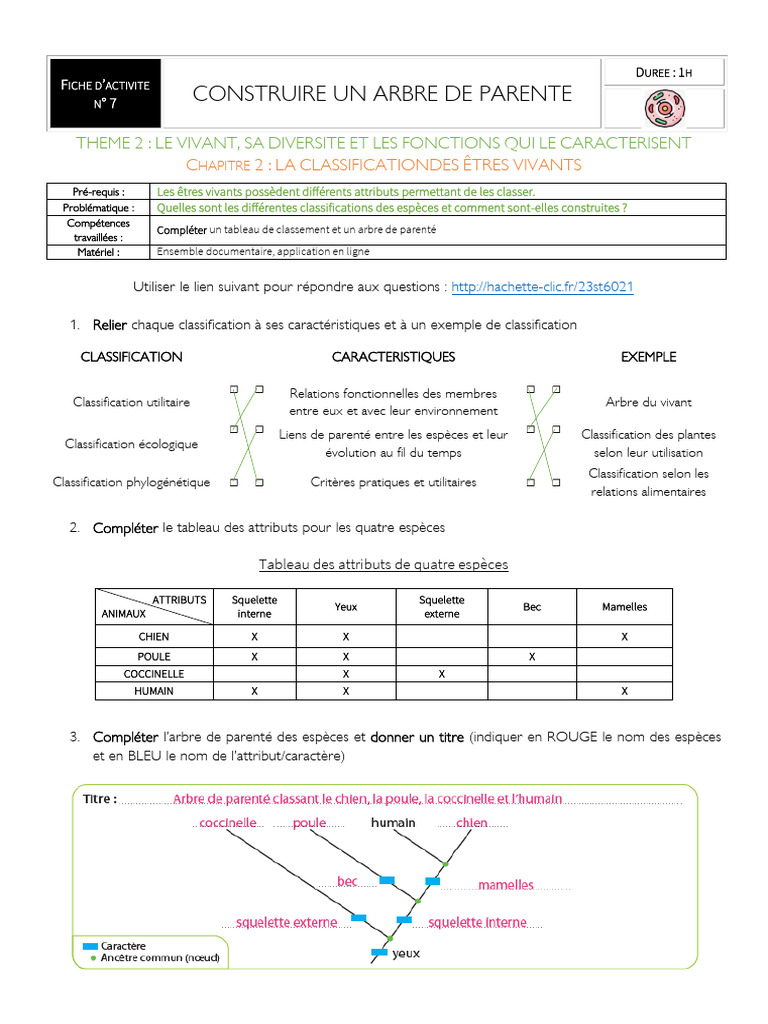 Classification des Êtres Vivants et Attributs | PDF | Phylogenèse ...