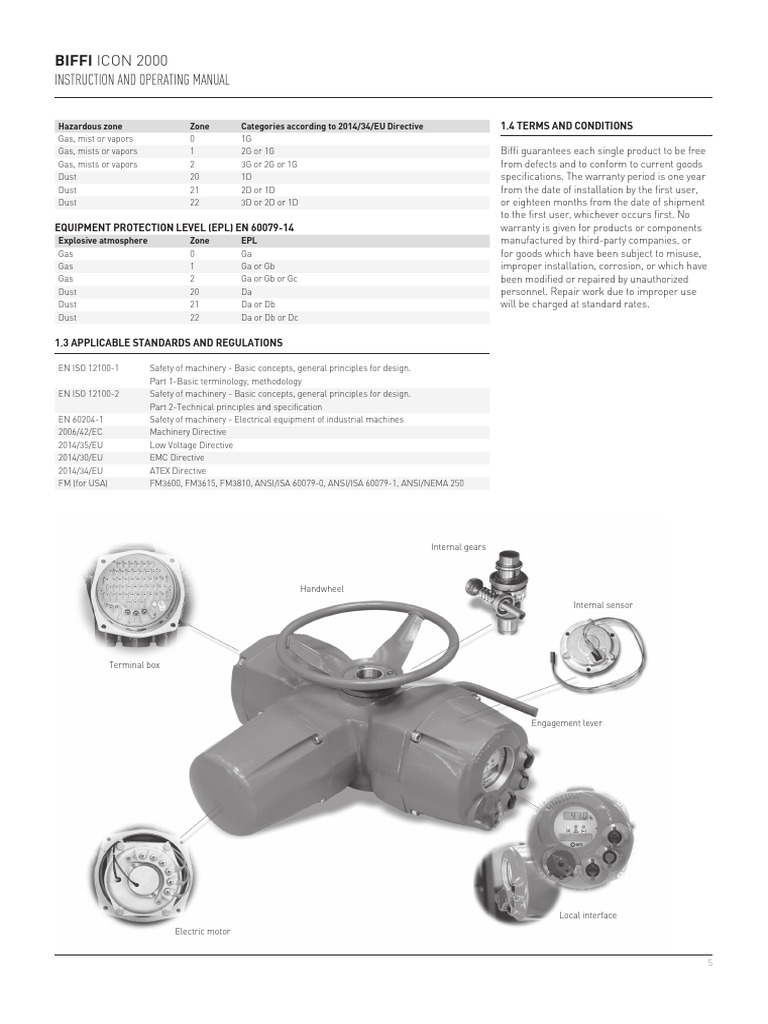 Biffi Icon 2000 Manual & Safety Standards | PDF | Machines | Electricity