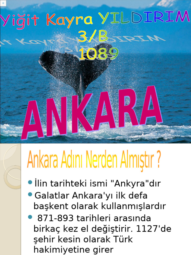 Yigit Kayra | PDF
