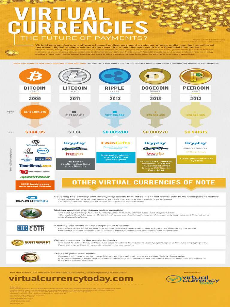 Virtual Currency Infographic | PDF