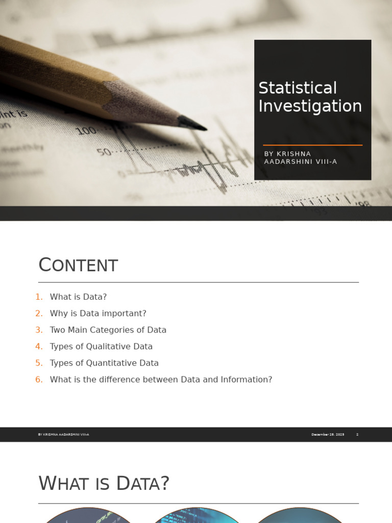 Statistical Investigation | PDF | Data | Level Of Measurement