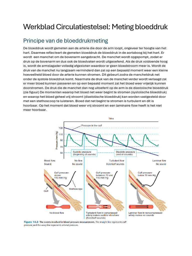 2526 A&f Werkblad Meting Bloeddruk | PDF