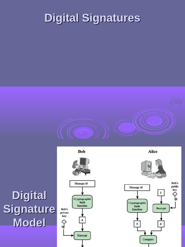 Understanding Digital Signatures and DSA | PDF | Public Key ...