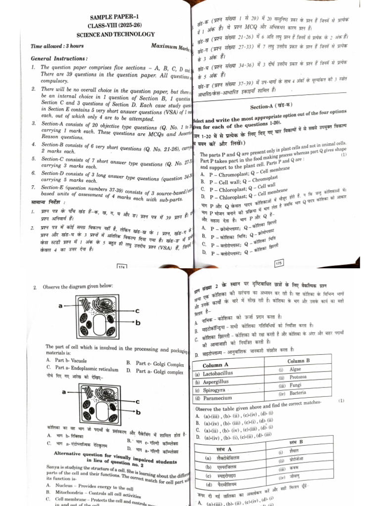SP 1 | PDF