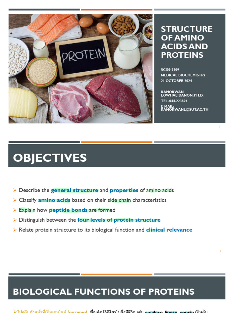 Amino Acids and Protein Structure Overview | PDF | Proteins | Amino Acid