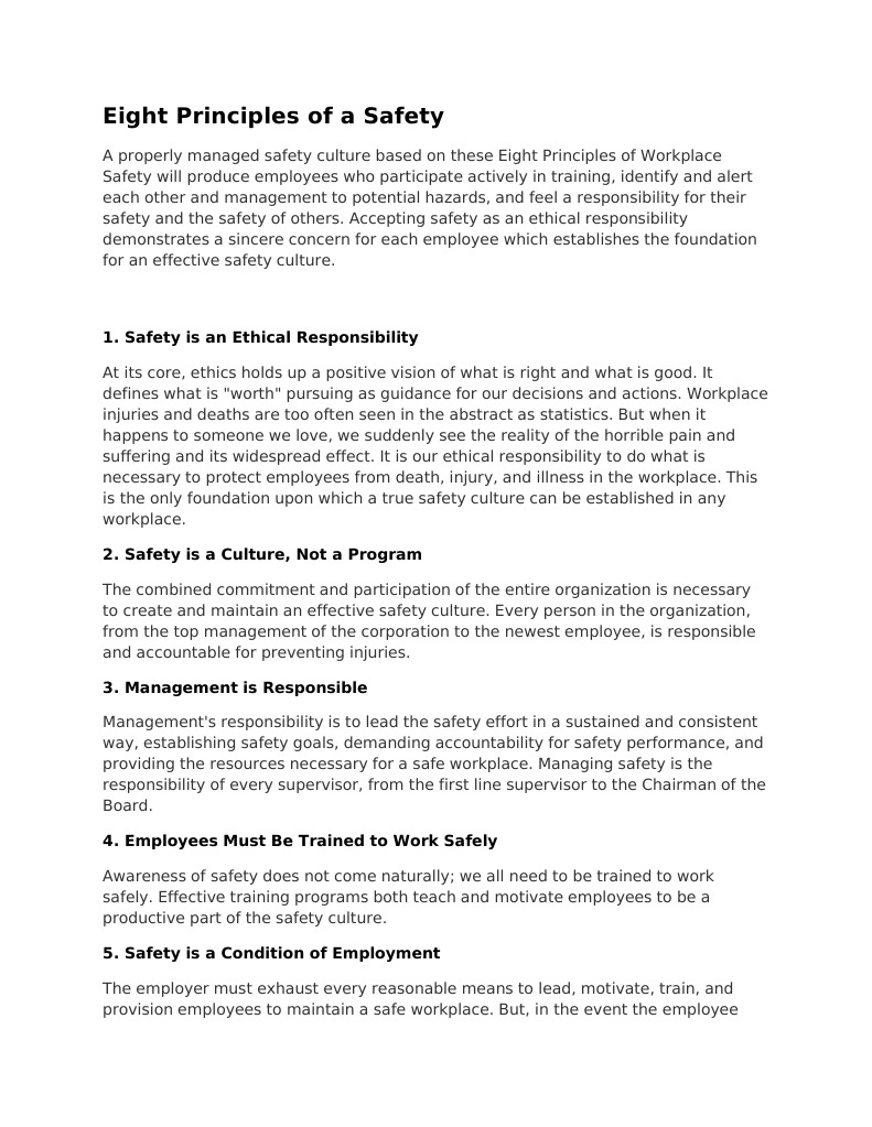 Eight Principles of A Safe PDF Safety Occupational Safety And Health