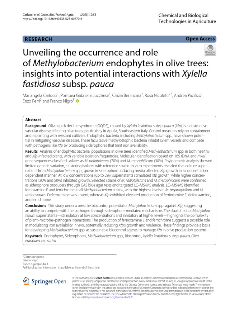 Methylobacterium Endophytes in Olive Trees | PDF | Polymerase Chain ...