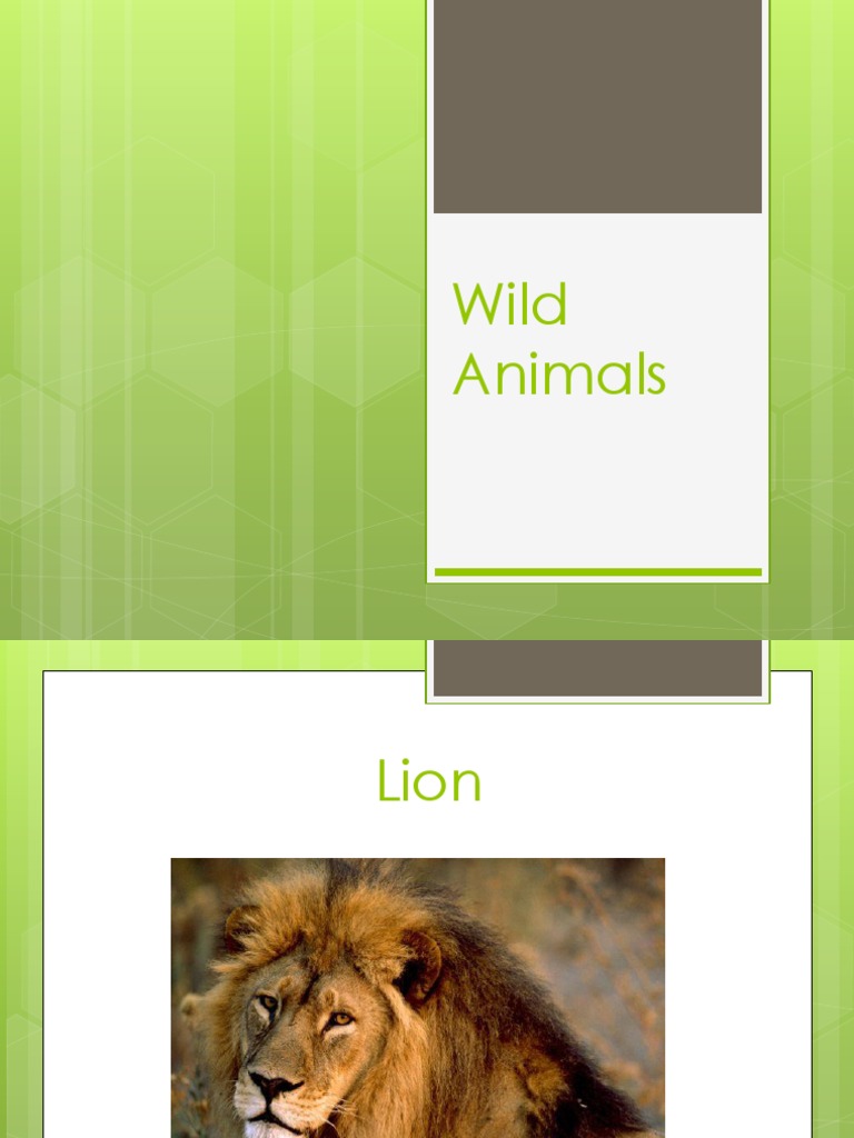 Wild Animals | PDF