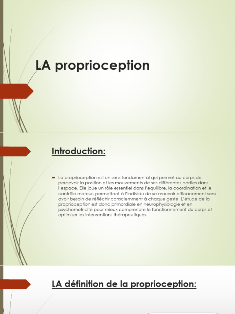 Comprendre la proprioception et ses enjeux | PDF | Cervelet | Système ...