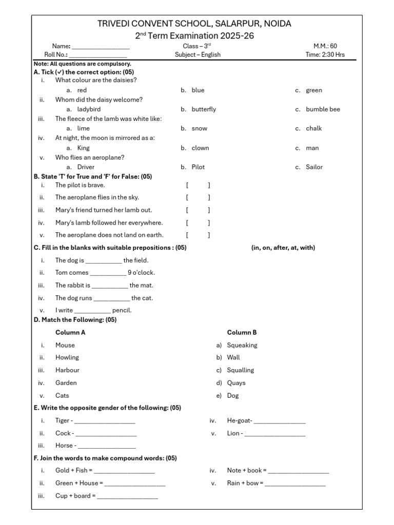 Class 3 English Exam Paper 2025-26 | PDF