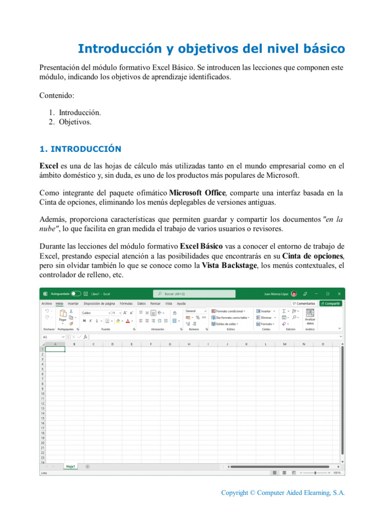 Introducción al Módulo Excel Básico | PDF | Microsoft Excel | Hoja de ...