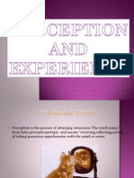 Perception N Experience