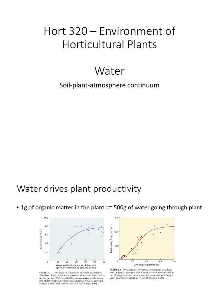 251023 - Water Continuum - UPDATED 2 | PDF | Water | Continuum Mechanics