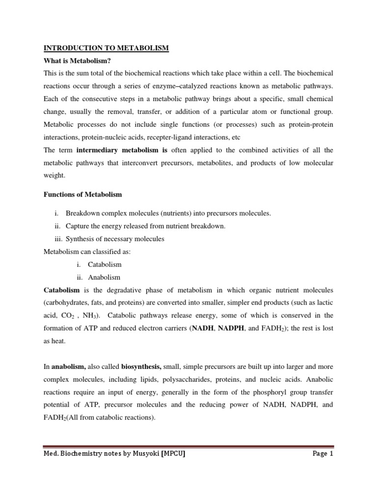 Introduction to Metabolism and Pathways | PDF | Electron Transport ...