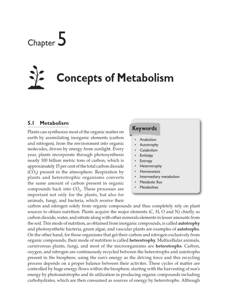 Understanding Plant Metabolism Processes | PDF | Metabolism | Metabolic ...