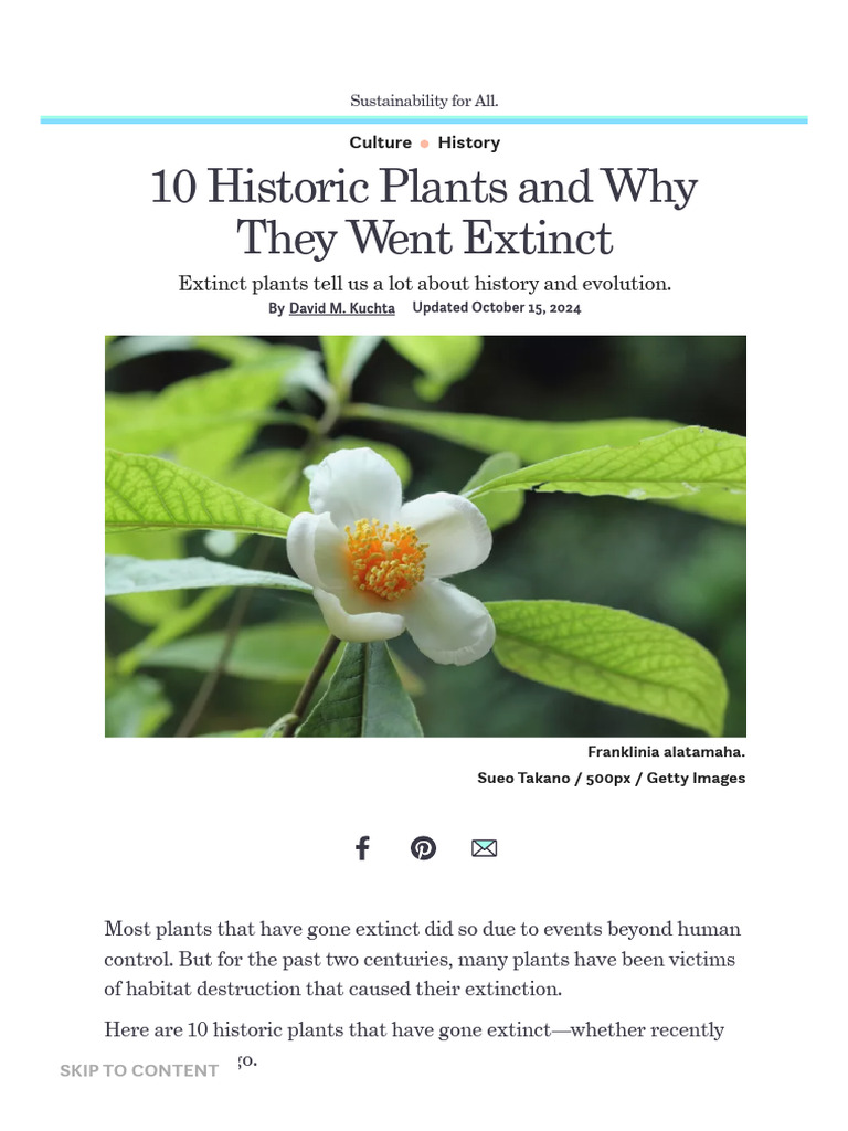 10 Extinct Plants With A Fascinating History | PDF | Plants | Botany