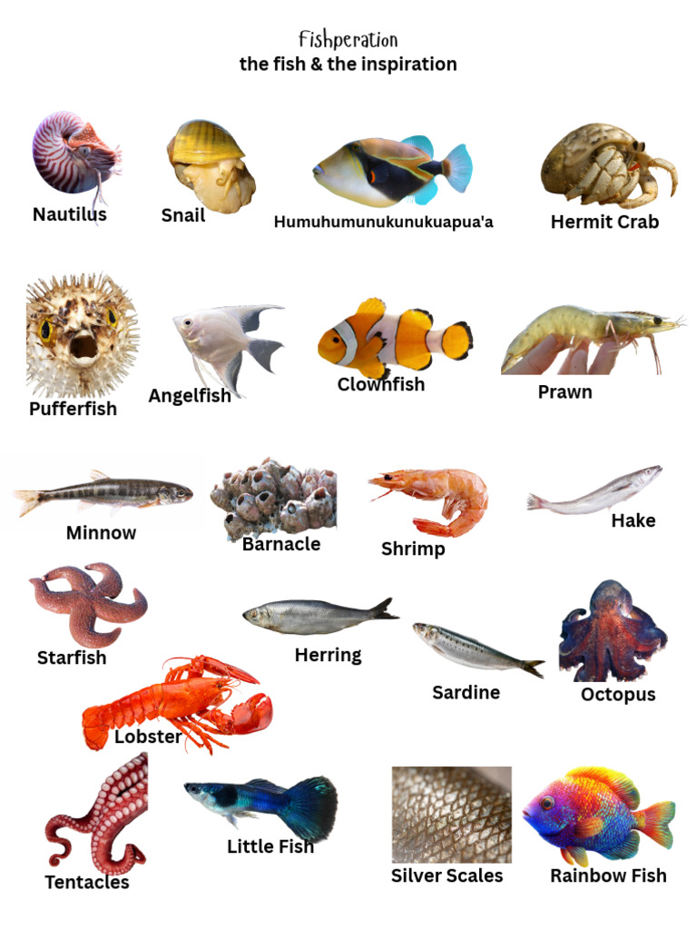 Fish Species and Inspiration Guide | PDF