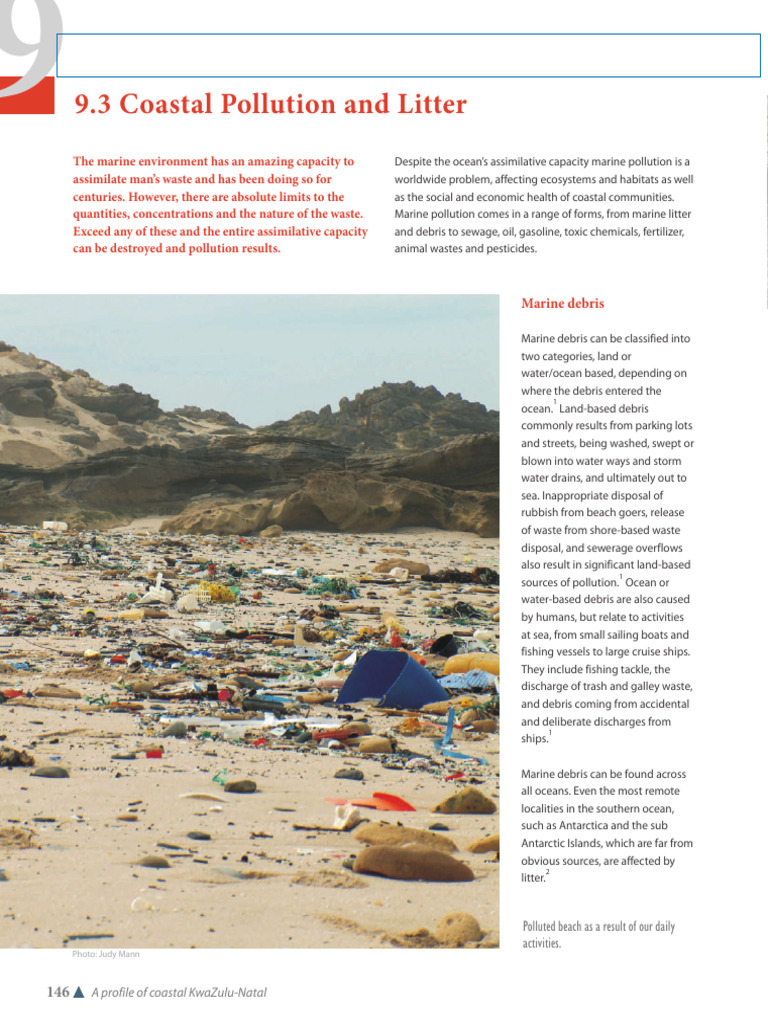 Coastal Pollution and Marine Litter Issues | PDF | Sea | Pollution