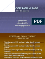 BERCOCOK TANAM PADI (Biji Bijian ) May Siti Djasmara