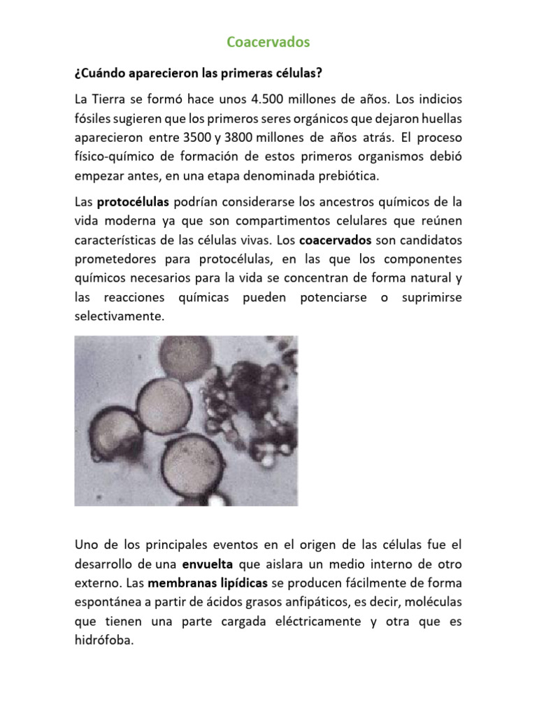 Protocélulas Coacervados Ems | PDF