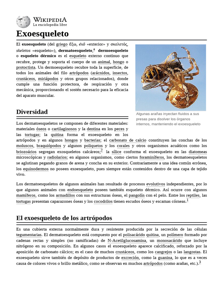 Exo Esqueleto | PDF | Sistema esquelético