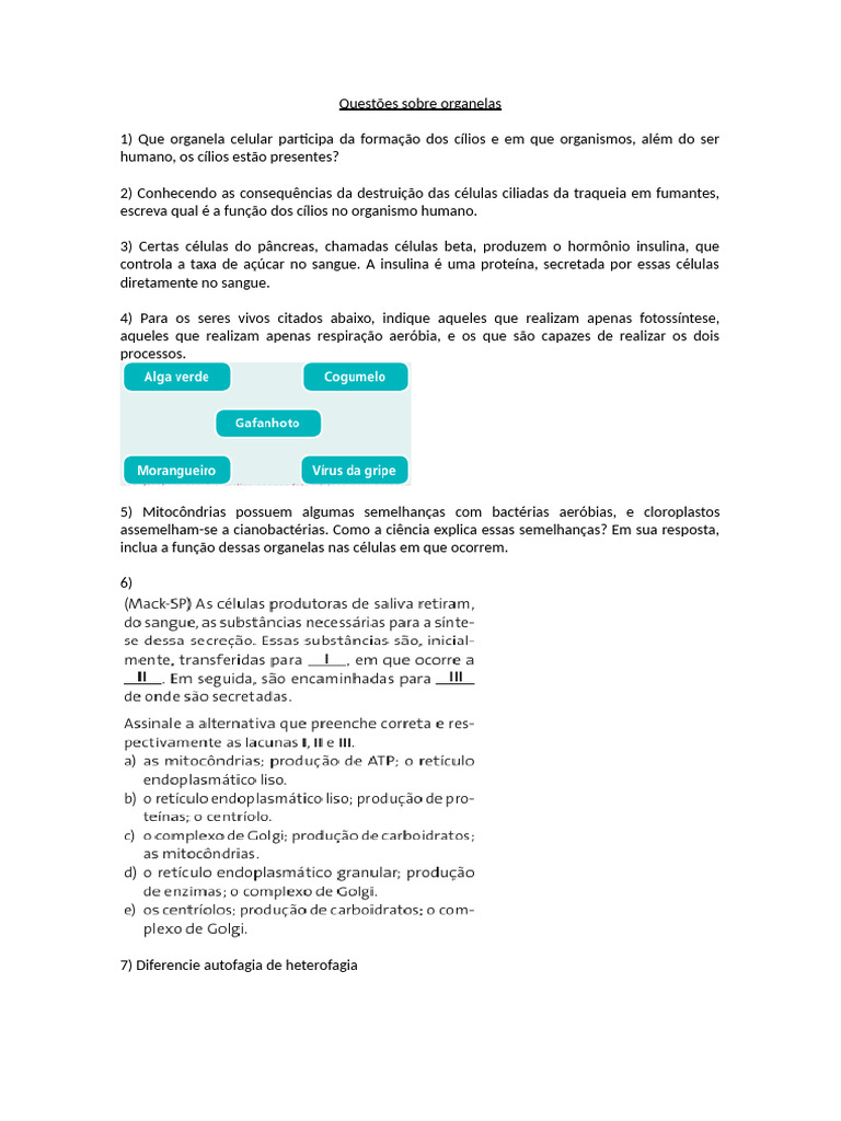 Questões sobre organelas celulares | PDF