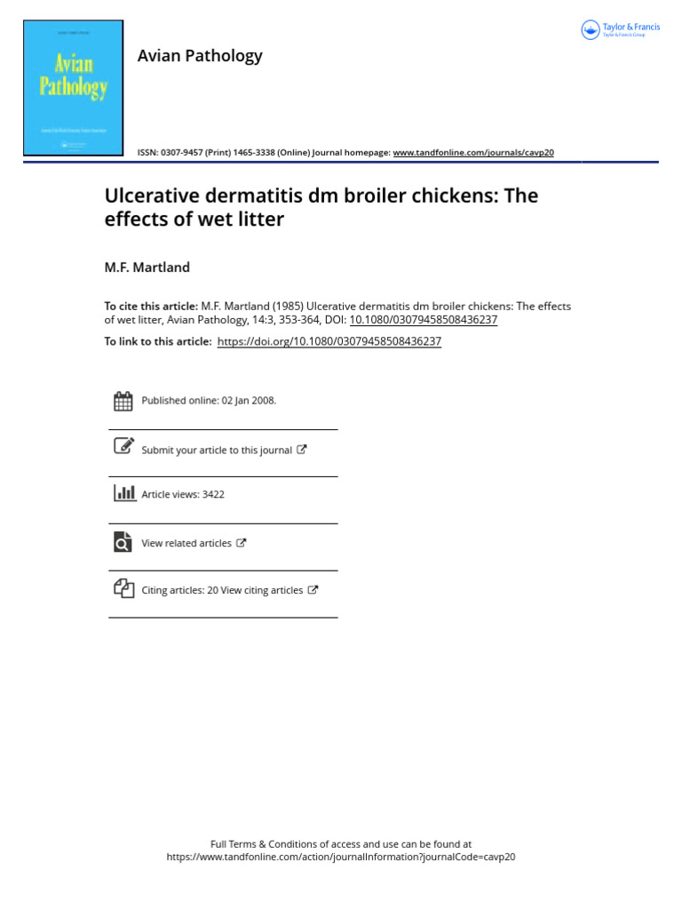Wet Litter Effects on Broiler Dermatitis | PDF | Broiler | Chicken