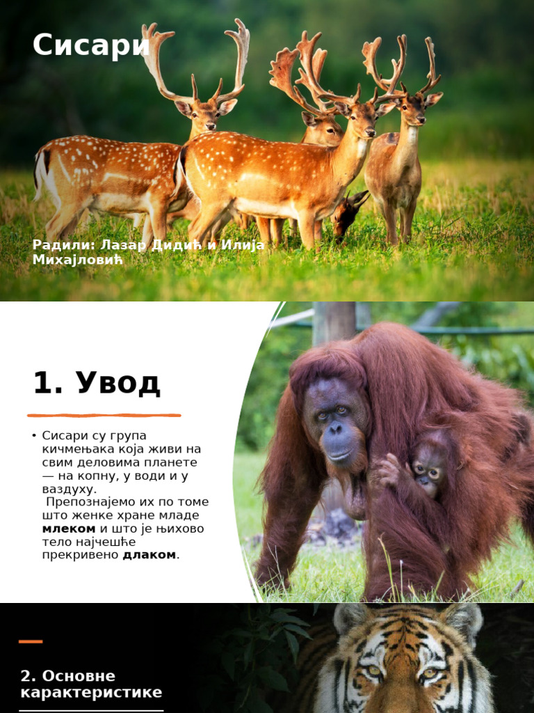 Presentation 3 | PDF