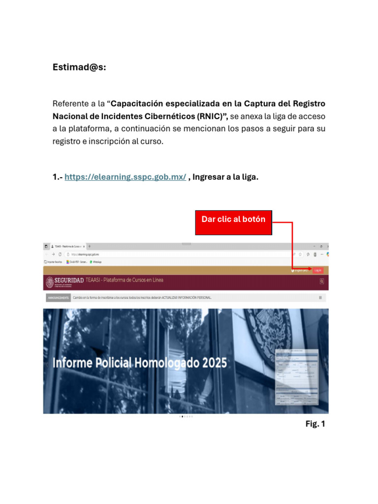 Instrucciones para Inscripción RNIC | PDF