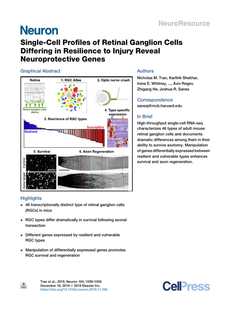 Retinal Ganglion Cell Resilience Study | PDF | Neuron | Nerve