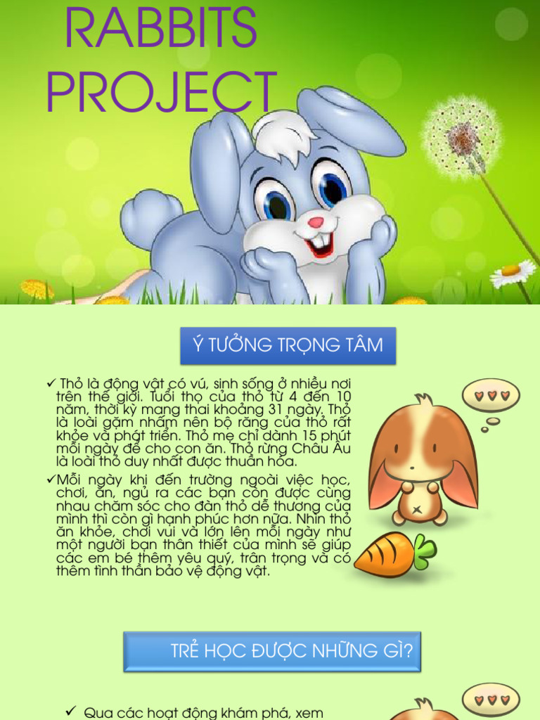 Rabbits Project | PDF