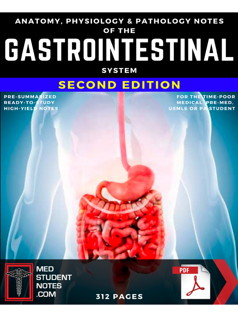 Gastrointestinal System Notes GH | PDF | Stomach | Gastrointestinal Tract