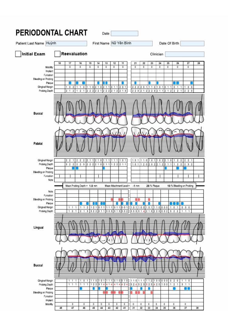 Periodontal Chart Online Www.perio Tools.com | PDF