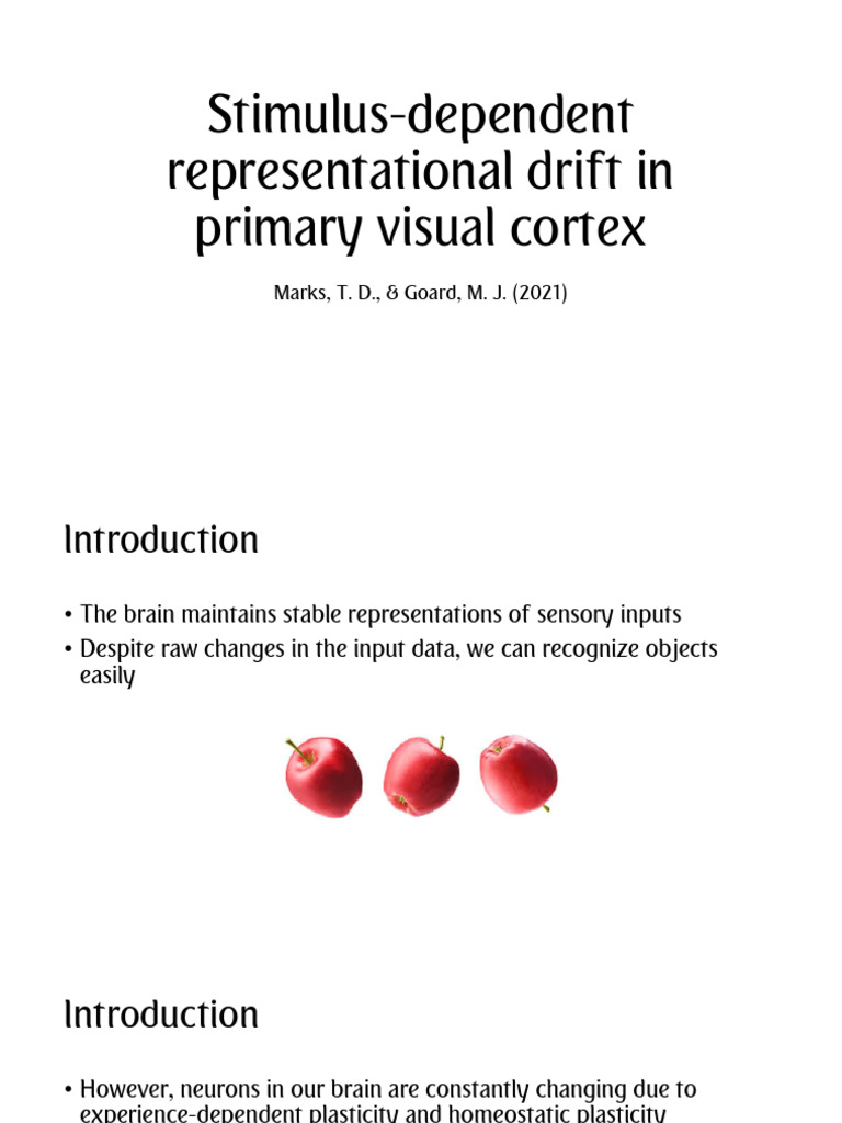 Drift in Representations of Stimuli | PDF | Visual Cortex | Stimulus ...